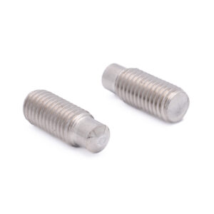 Lasbout RD M12x120 RVS A2-50